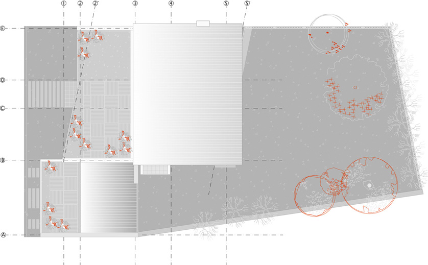 Cubiertas :: Proyecto Eubea | Diseño Daniel Winograd y Stefano Anzellini